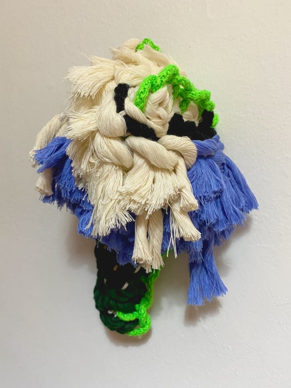 Mariadela Araujo, Semilla II