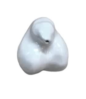 Chris Rijk, Untitled (Willies)