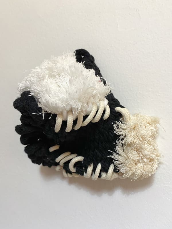 Mariadela Araujo, Semilla III