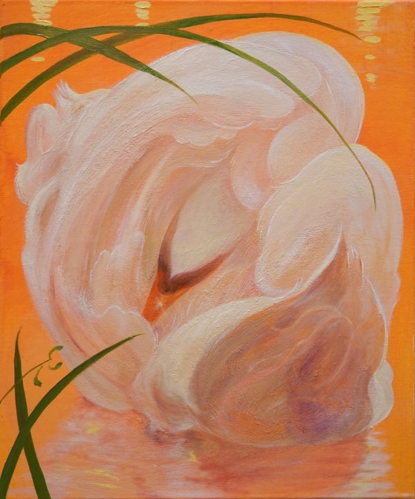 Haevan Lee, Orange Zone Print