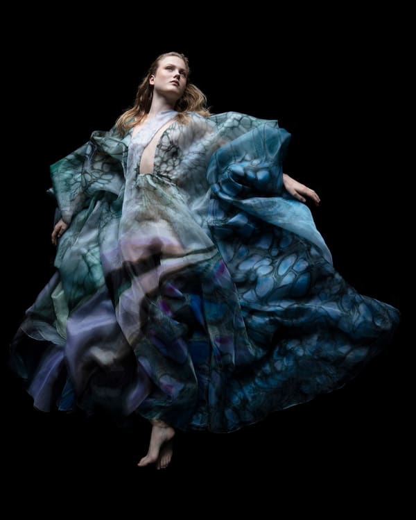 Carla van de Puttelaar, Synergia Serie - XIV / L