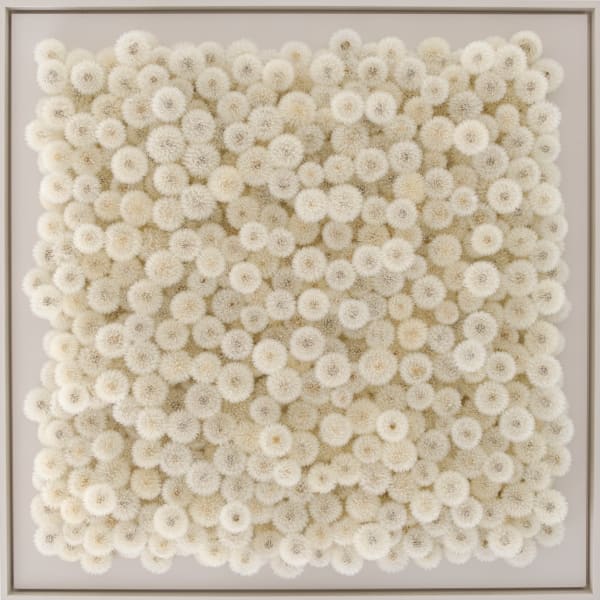 Hilde Trip, Wish full