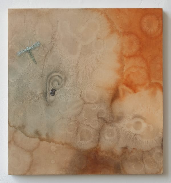 Indra Joachimsthal, From Within and Beyond I: Affection