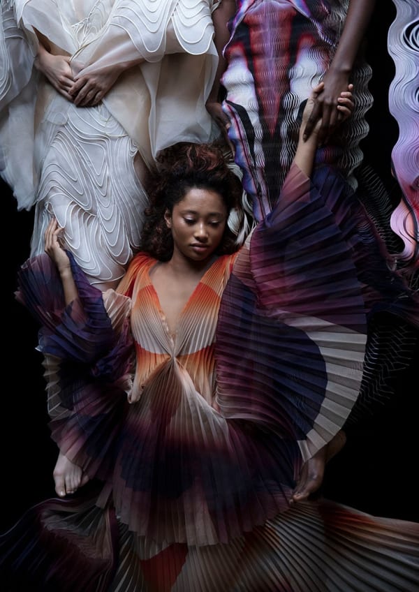 Carla van de Puttelaar, Synergia Serie - IV / L