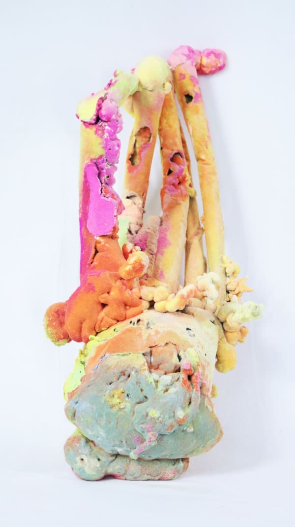 Pedro Matias, Elkhorn Coralia