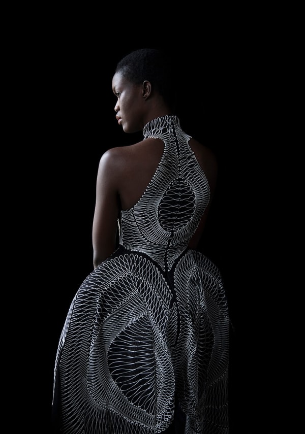 Carla van de Puttelaar, Synergia Series - XIII / L