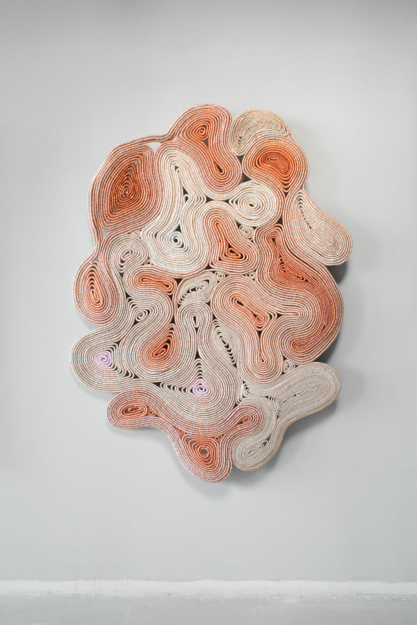 Joana Schneider, Light Journey