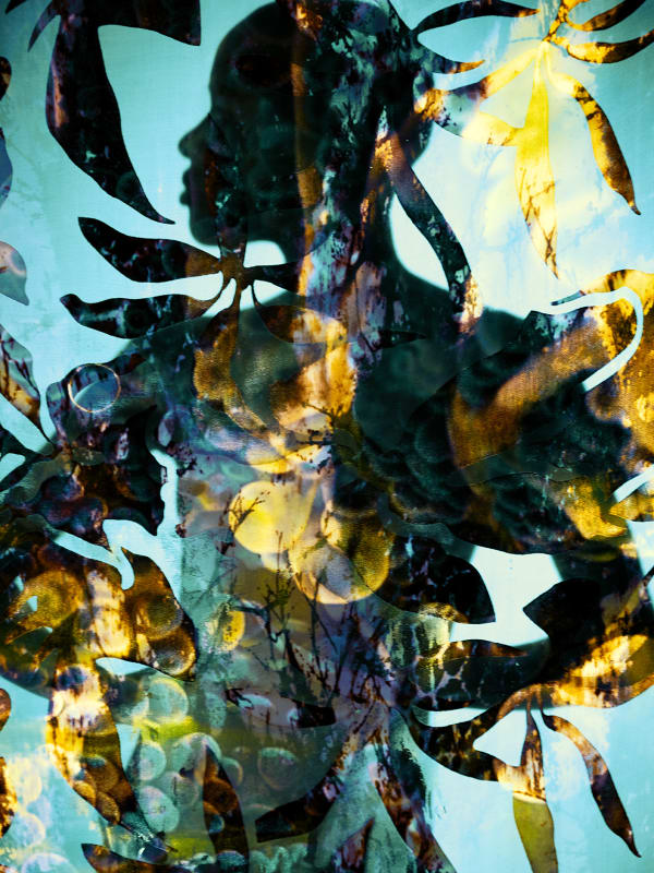 Carli Hermès, Distortion - Golden Silhouette