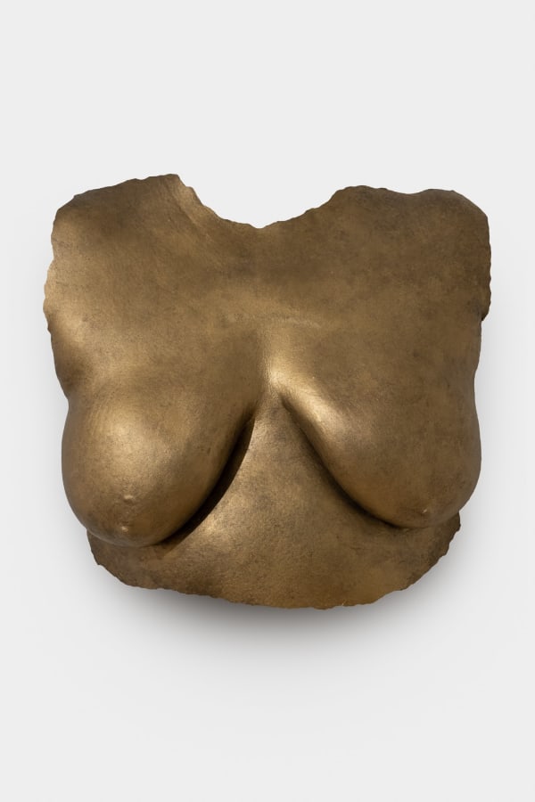 Misha Japanwala, Artifact MH01, 2022