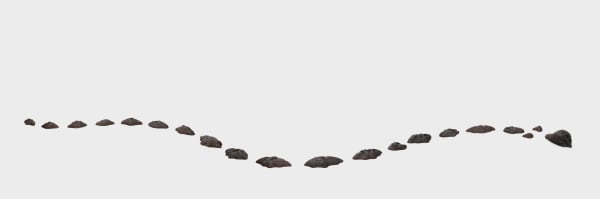 Rajni Perera, Swampgirly, 2025