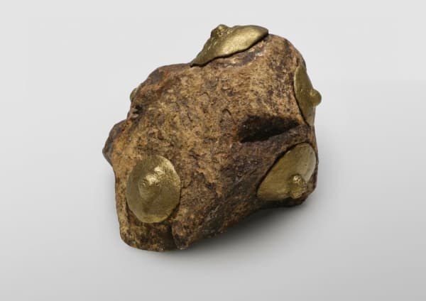 Misha Japanwala, Fossils 3, 2023