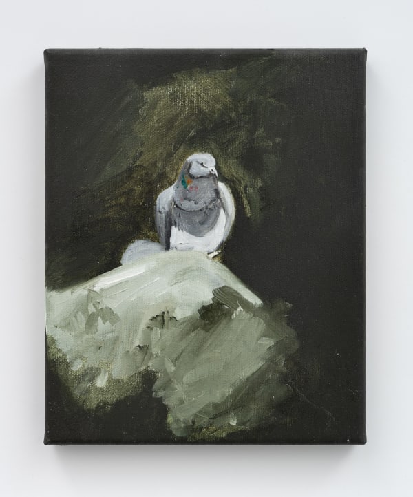 Adham Faramawy, Pigeon on monument (Rock Doves), 2023