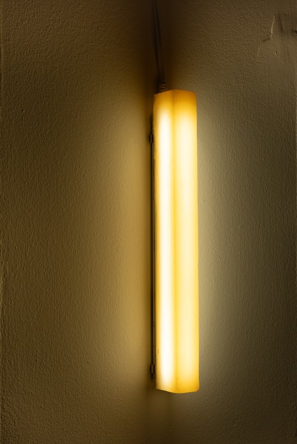 Laila Majid, LED light, 2024