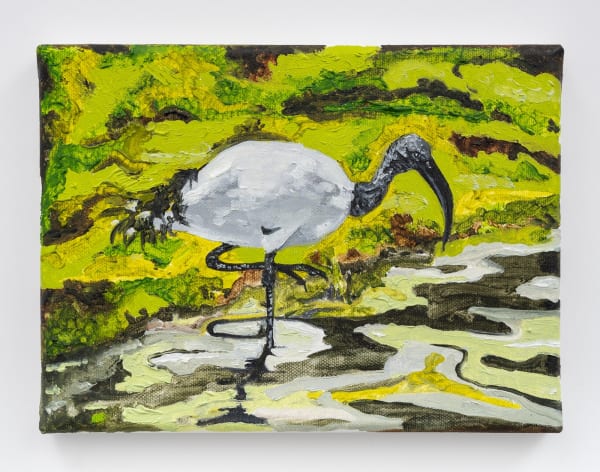 Adham Faramawy, Ibis ii, 2023