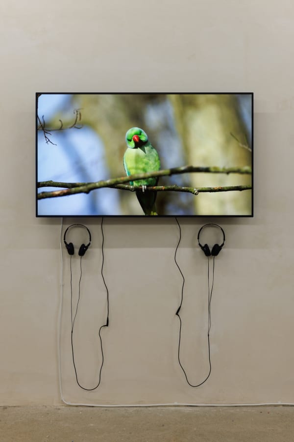 Adham Faramawy, Proposal for a Parakeet's Garden, 2022