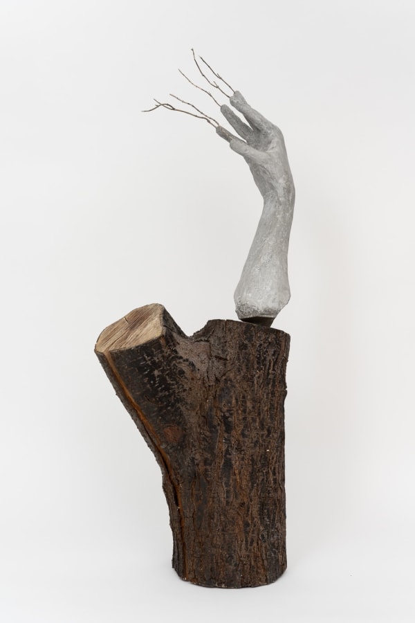 Adham Faramawy, Daphne's Wrist, 2023