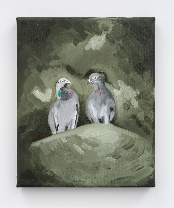 Adham Faramawy, Pigeons on a monument (Rock Doves), 2023