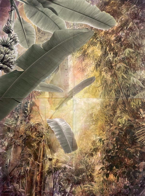 Kristina Chan, Jardin des Plantes 3, 2023