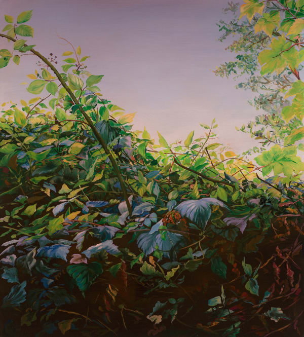 Day for Dusk (Penton Lane) 4