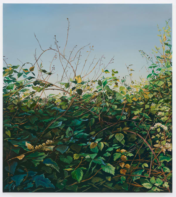 Day for Dusk (Hollow Pond) 1