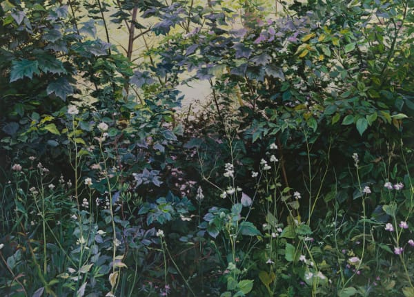 The Verge by James Lane 8