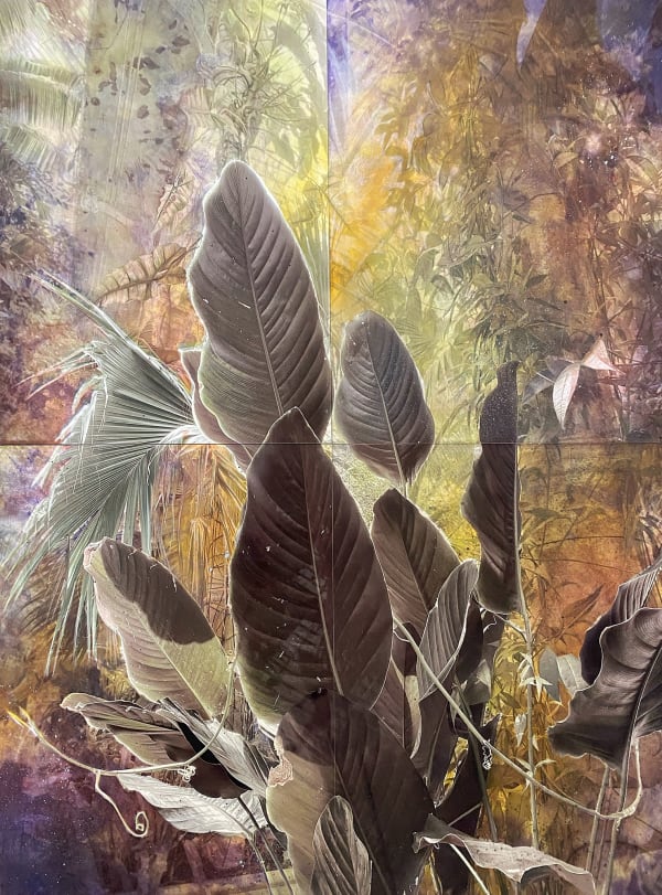 Kristina Chan, Jardin des Plantes 1