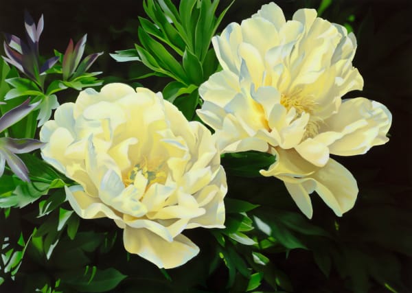 Obituary Painting: David Hessayon