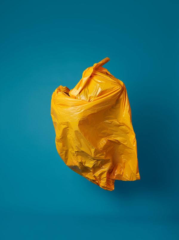 Jamil Hellu, Untitled (Odyssey), 2025