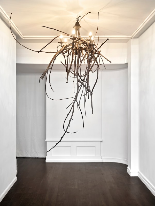 Sahar Khoury, Untitled (black walnut tree mobile), 2021
