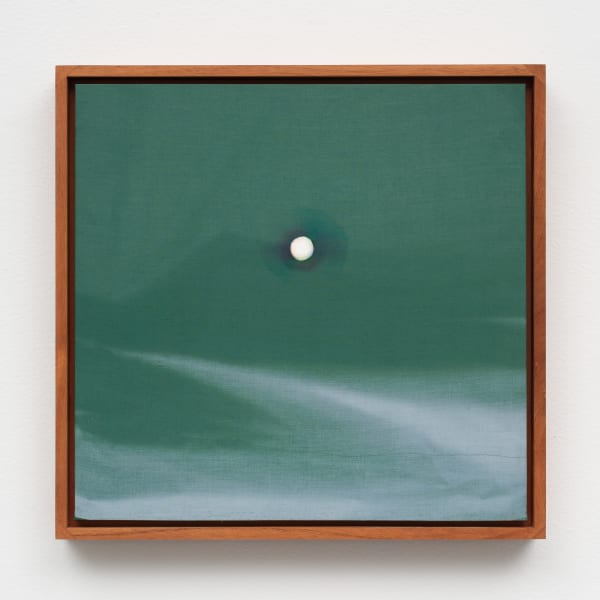 Christopher Robin Duncan, SPRING (6 month exposure), 2023