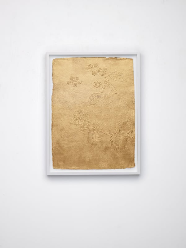 Stacy Lynn Waddell, Untitled (Blackberry), 2024