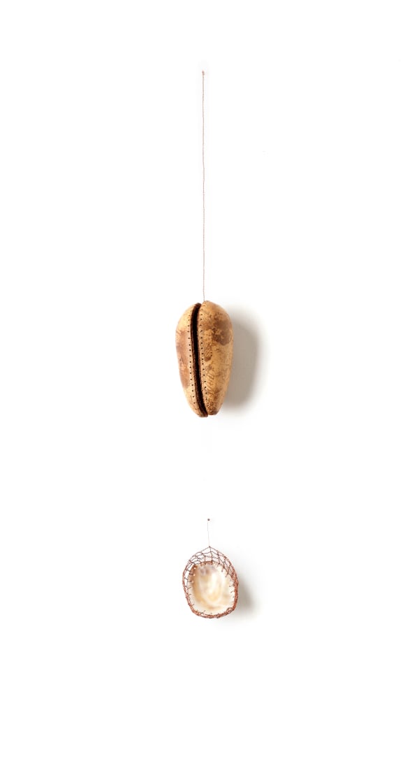 ektor garcia, gourd & shell, 2021