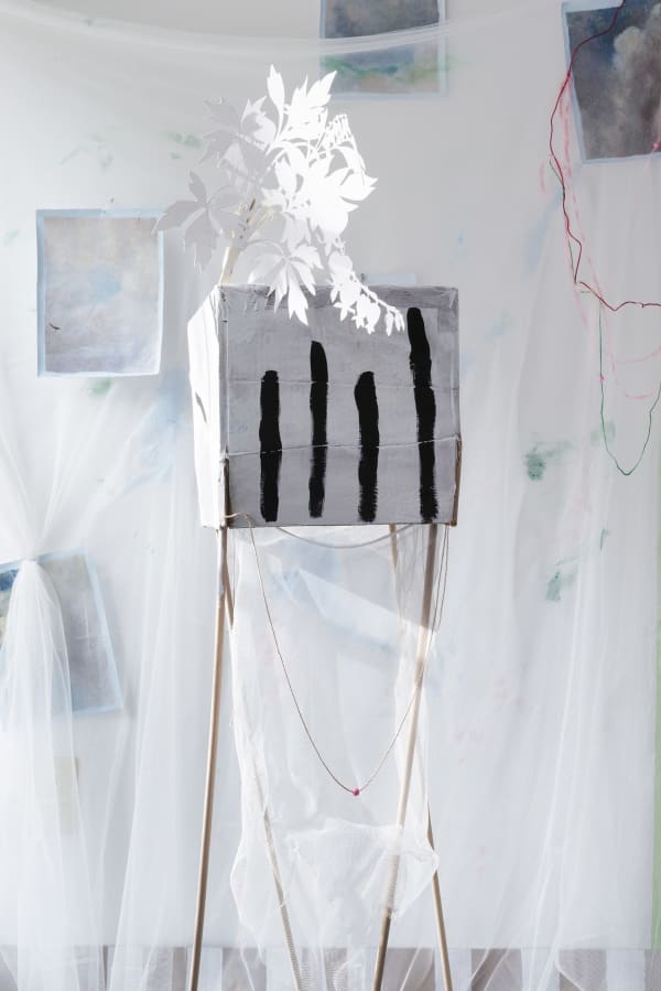 David Gilbert, Hoar, 2019