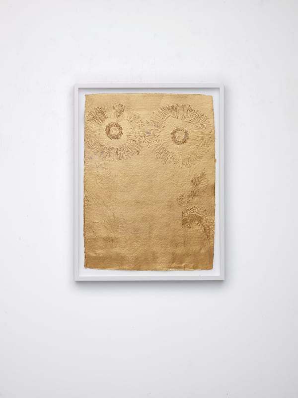 Stacy Lynn Waddell, Untitled (Opium Poppy), 2024