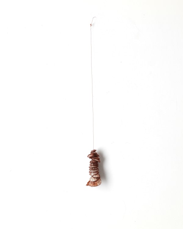 ektor garcia, shells, 2021