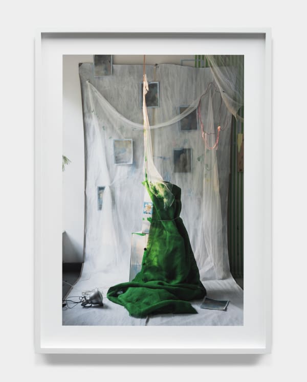 David Gilbert, Grande Dame, 2019
