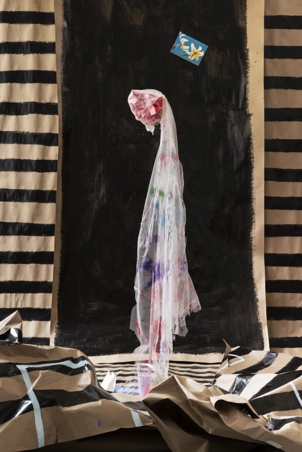 David Gilbert, Painted Lady, 2019