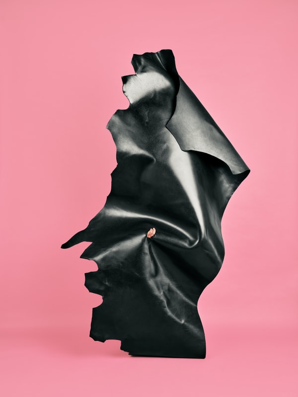 Jamil Hellu, Untitled (Odyssey), 2025