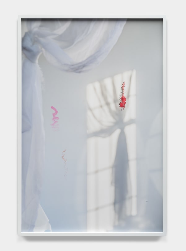 David Gilbert, Curtains, 2021
