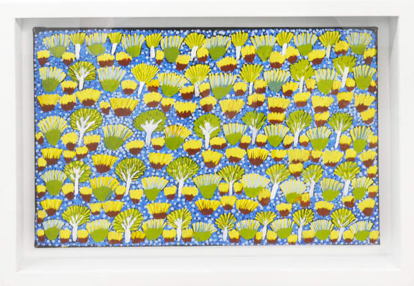 Rosie Ross, Sugarbag Dreaming, n.d.