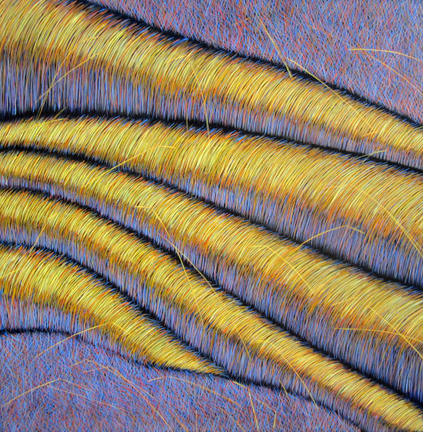 Yvonne Mills-Stanley, Grass Memories IV, 2014
