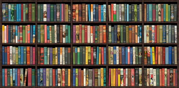 A hyperreal bookshelf print featuring various book titles with questions and answers on the spine by acclaimed contemporary British artist Phil Shaw represented by Rebecca Hossack Art Gallery, contemporary art, archival print, 2024, London