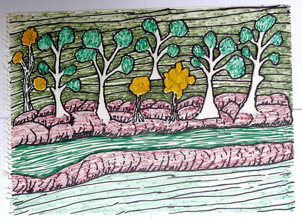 Jimmy Pike, Trees growing along a creek bank