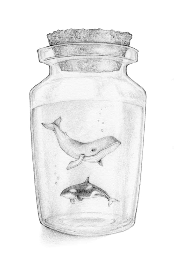 Jackie Case, Two Lost Souls Swimming in a Jar, 2024