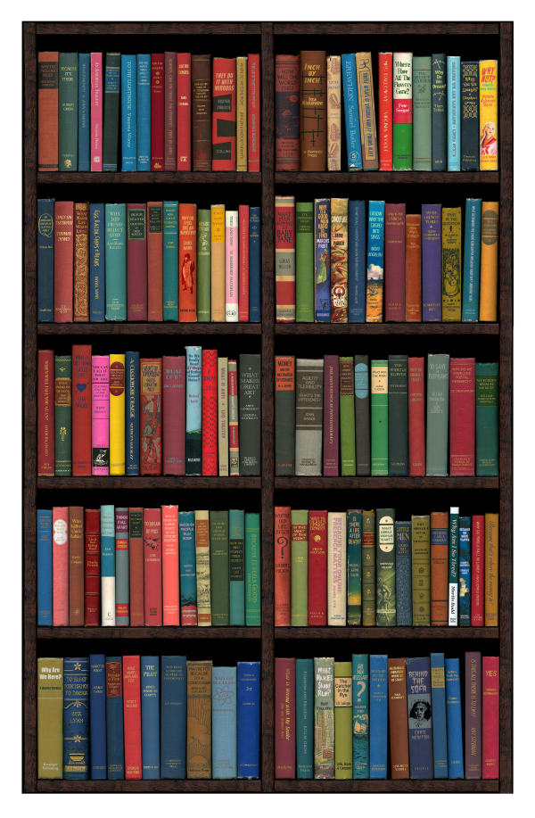 Bookshelf print containing books of various colours with question and answer titles by acclaimed British artist Phil Shaw represented by Rebecca Hossack Art Gallery.