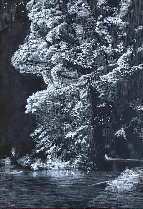 Sheila Clarkson, In Bright Light, 2018