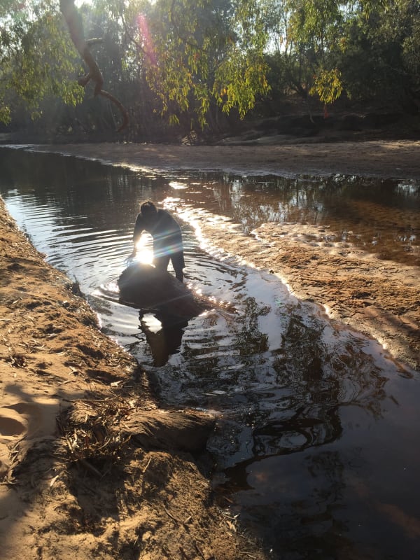 Joe Guymala, Joe Guymala Preparing Bark