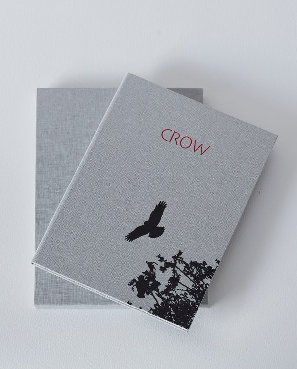 Luke White, Crow (Concertina), 2021