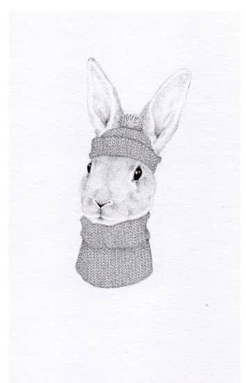 Jackie Case Australian graphite drawings animal characters feathers black and white Jackie Case Australian graphite drawings animal characters black and white