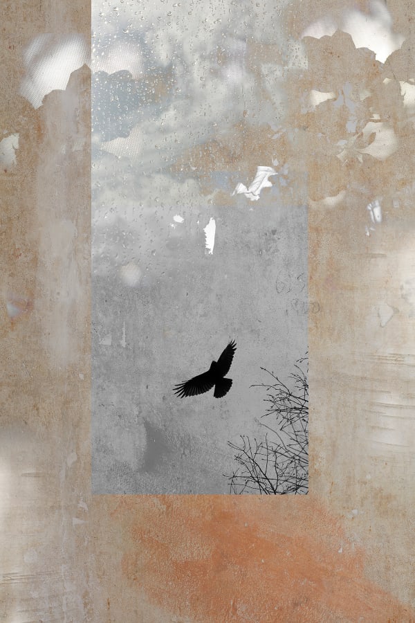 Luke White, How The Light Gets In - Dream I (Duende), 2021